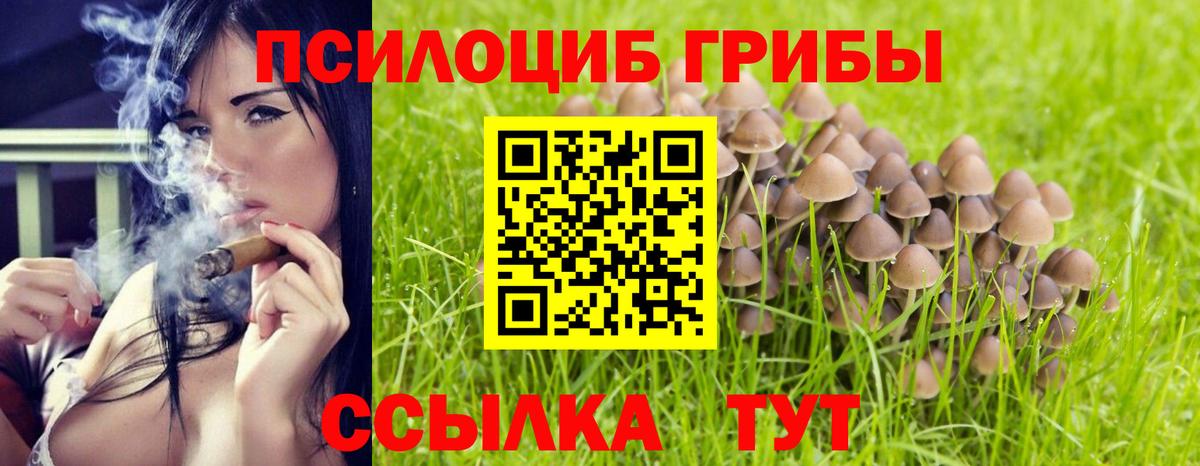 Псилоцибиновые грибы Psilocybine cubensis  Вход с VPN  Кирово-Чепецк 